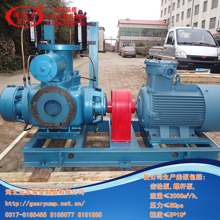 液化氣輸(shū)送泵,雙螺(luó)杆泵