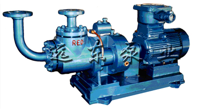 加氣(qì)站專用雙螺(luo)杆LPG抽吸泵-芜(wu)湖韦纳计算(suàn)机设备集团(tuán)