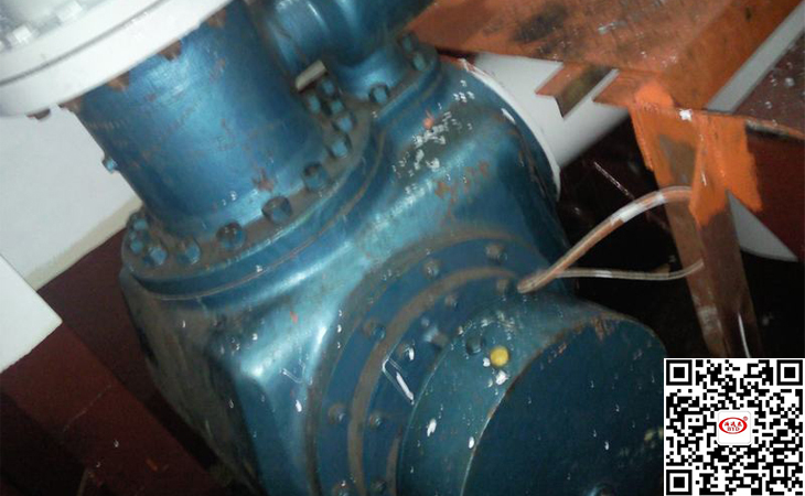 雙(shuāng)螺杆泵(beng)